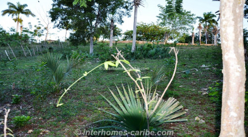 photos for SOSUA: LOT VISTA OCEANA